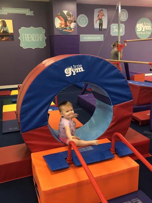 The Little Gym of Kansas City North-Parkville, MO Picture 5