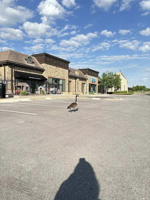 Impact Fitness At Burlington Creek Picture 1