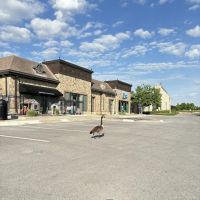 Impact Fitness At Burlington Creek ico