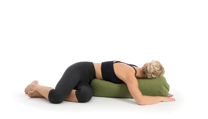 Lotus Care KC - Yoga Therapy & Wellness Studio Picture 3