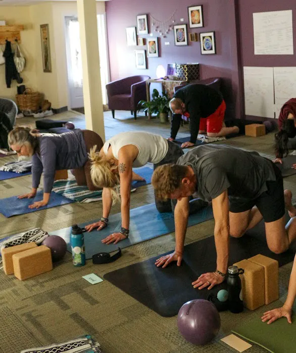 Lotus Care KC - Yoga Therapy & Wellness Studio Picture 9