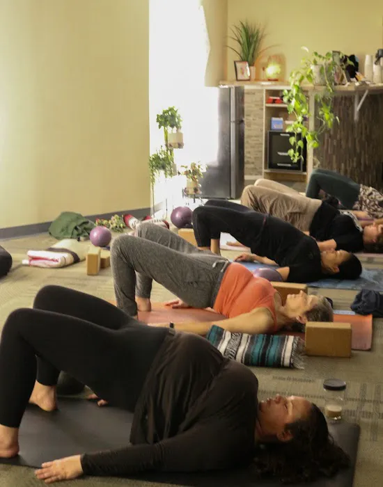 Lotus Care KC - Yoga Therapy & Wellness Studio Picture 10