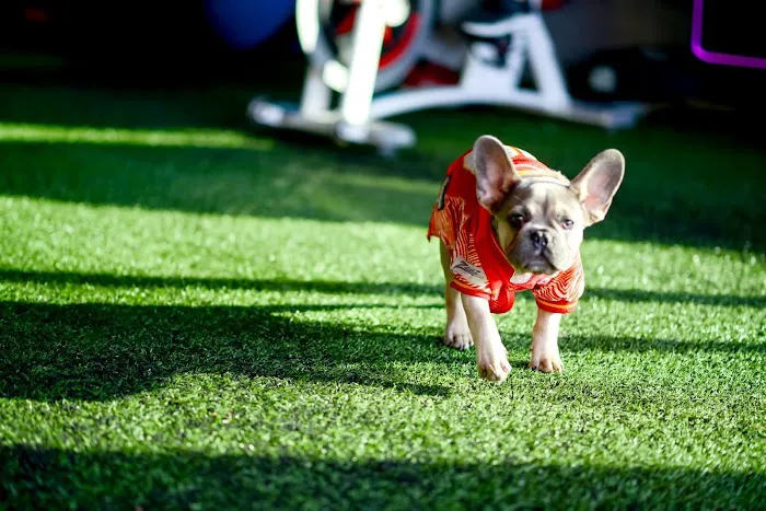 Grit Fit KC Picture 2