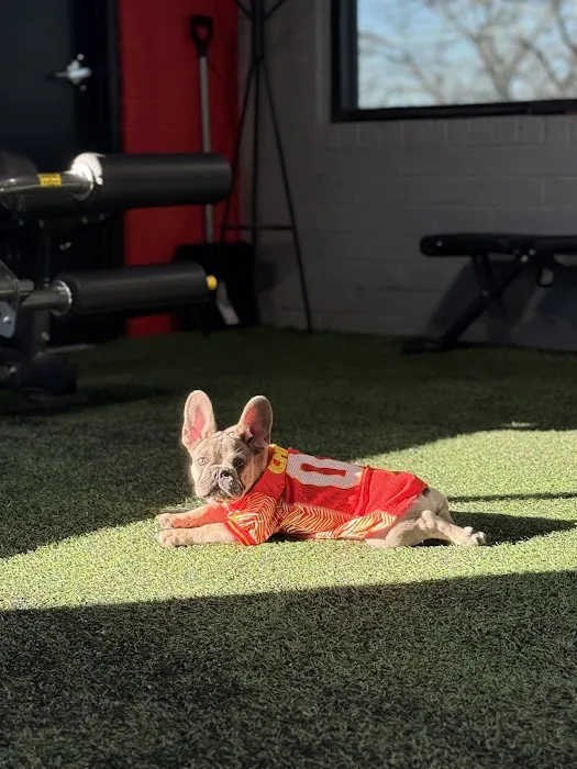 Grit Fit KC Picture 4