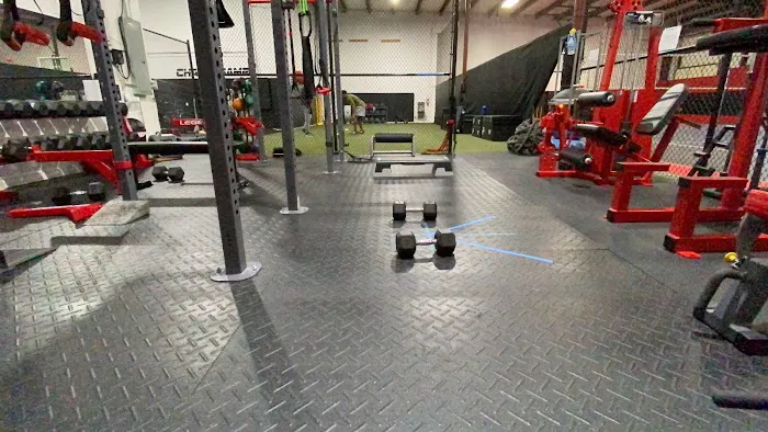 Flash Performance Picture 10