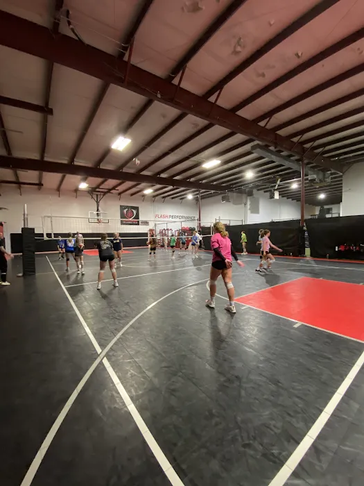 Flash Performance Picture 5