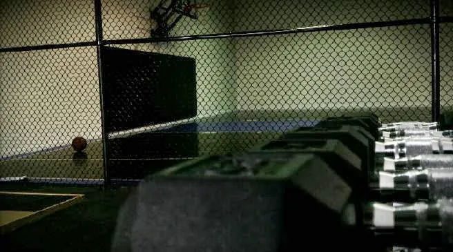 Flash Performance Picture 1