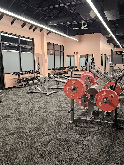 THRIVE Fitness & Training Picture 9