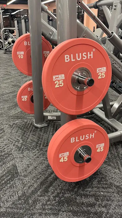 THRIVE Fitness & Training Picture 5