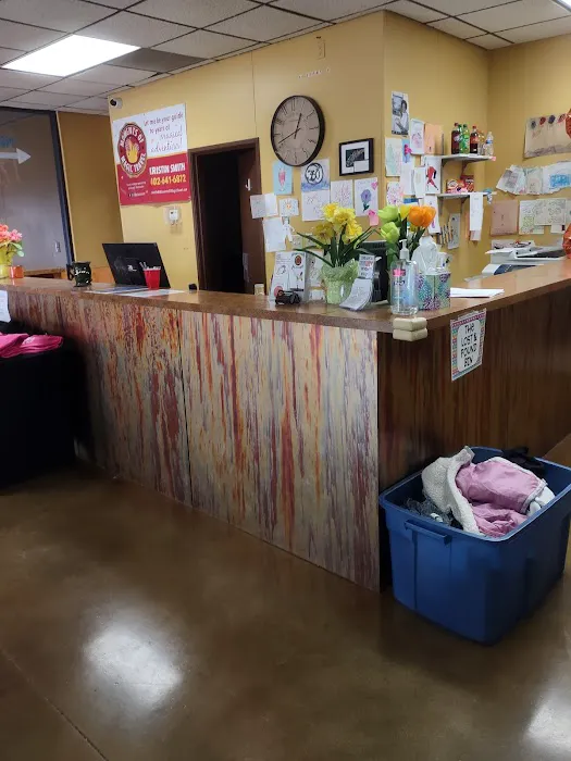 360 Gymnastics Picture 10