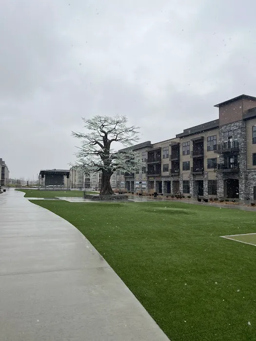 Easy Tiger Yoga Picture 7