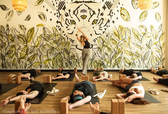 Easy Tiger Yoga Picture 5