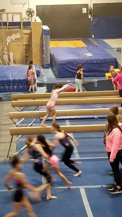 Liberty Gymnastics Academy Picture 1