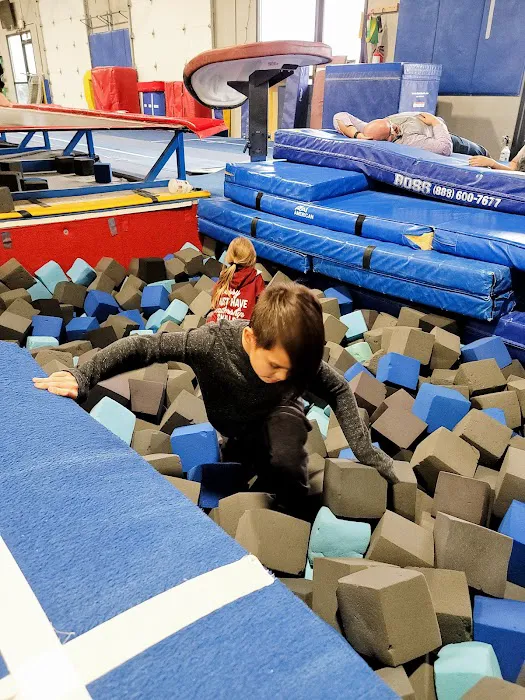 Liberty Gymnastics Academy Picture 2