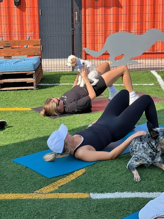 P31 Pilates Picture 9