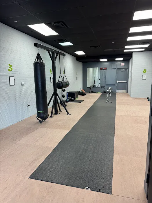 FITcircuit Picture 8