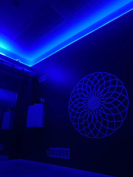 Vybe Hot Yoga Picture 7