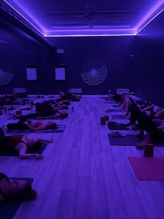 Vybe Hot Yoga Picture 6