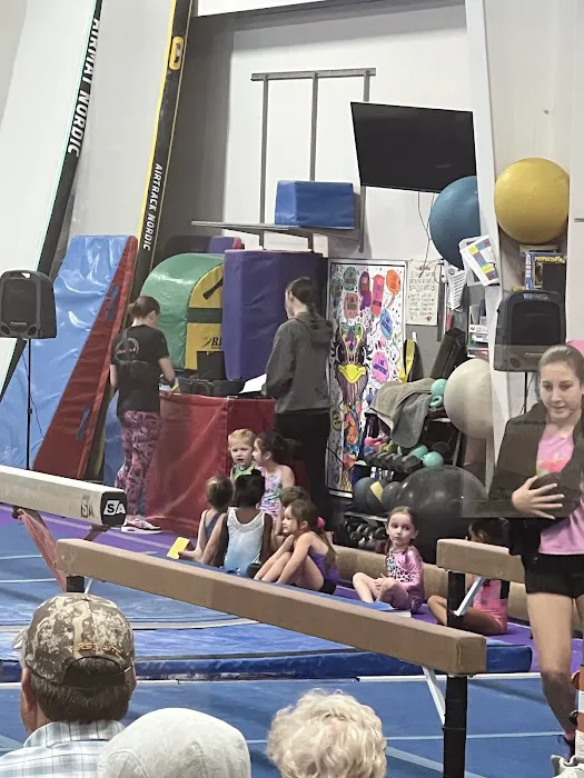 Pinnacle Gymnastics Picture 5