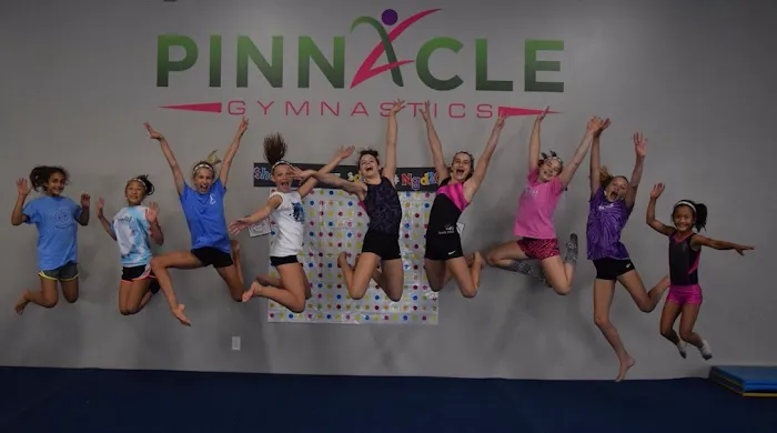 Pinnacle Gymnastics Picture 6
