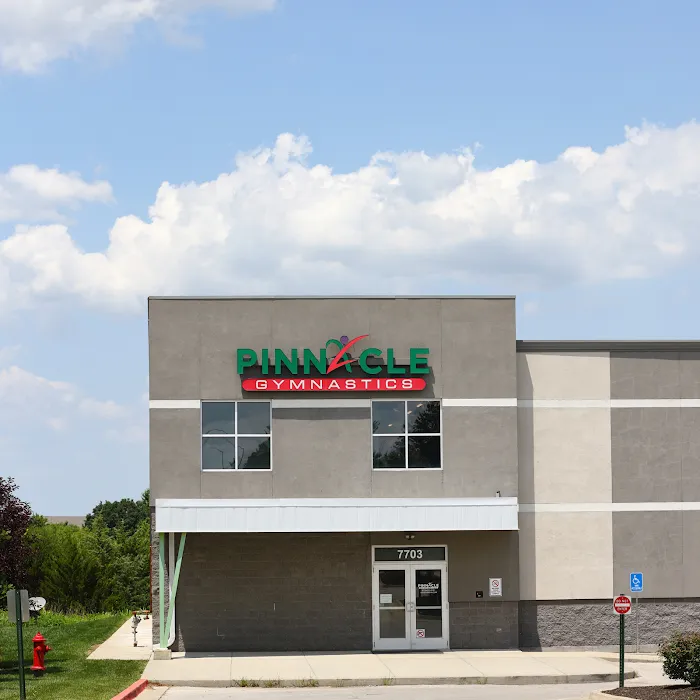 Pinnacle Gymnastics Picture 8