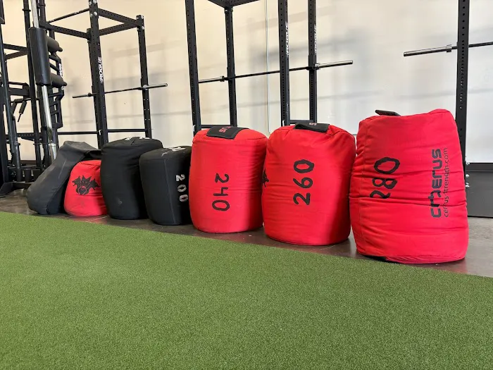 Per Aspera Strength Picture 2