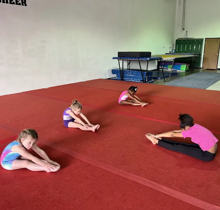 Ivory's Tumble & Cheer Picture 3