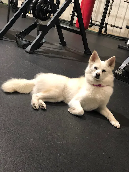 Kansas Built Fitness Picture 10