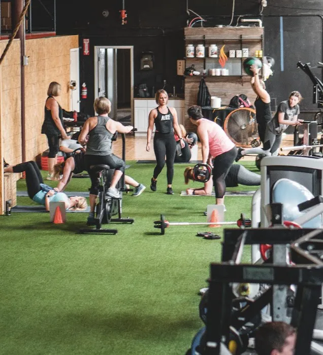 PRIMAL FIT LAB Picture 2