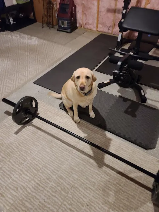 Means Muscle Gym Picture 1