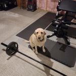 Means Muscle Gym