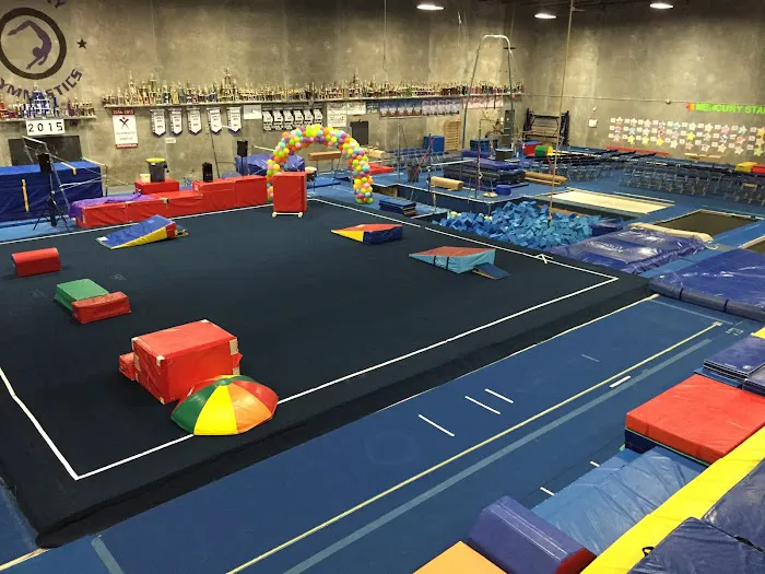 Mercury Gymnastics Picture 5