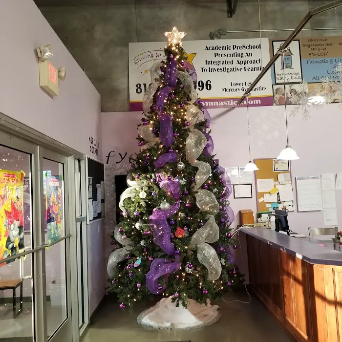 Mercury Gymnastics Picture 10