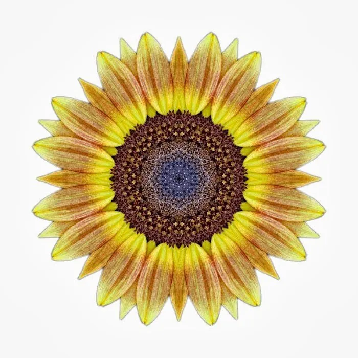 Leavenworth Yoga Picture 4