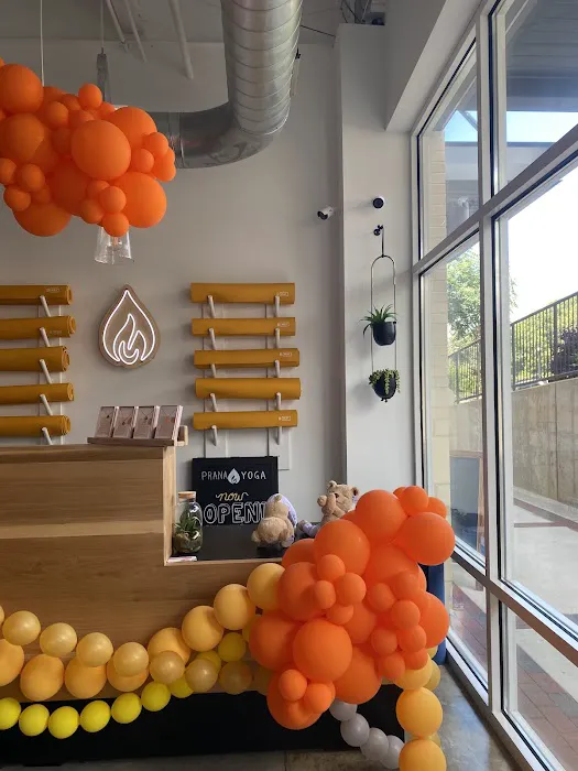 PRANA Yoga Holly Springs Picture 9