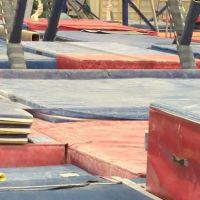 Sonshine Gymnastics-Holly ico