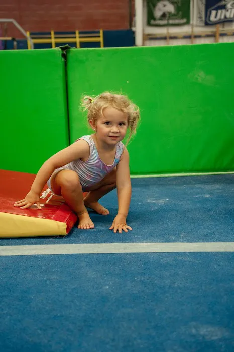 Sonshine Gymnastics-Holly Picture 3