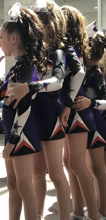 Showtime Elite Apex Picture 3