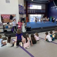 Showtime Elite Apex ico