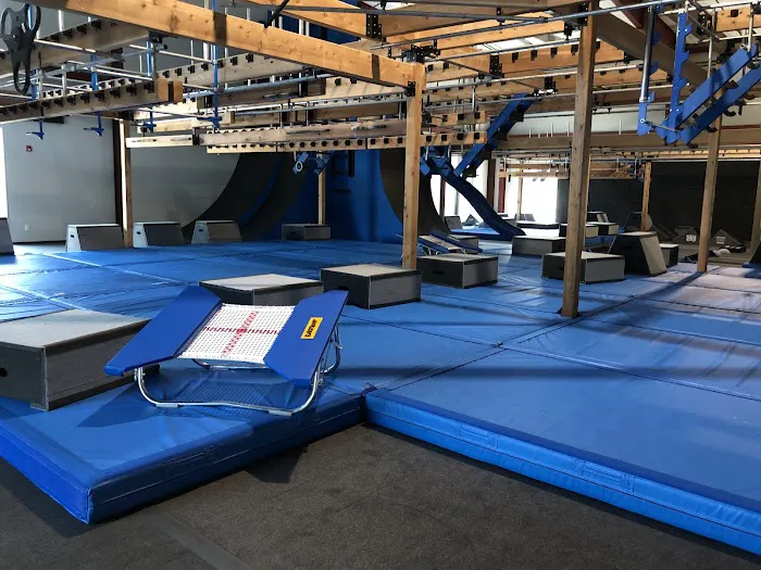 Rock Solid Warrior - South Apex Picture 3