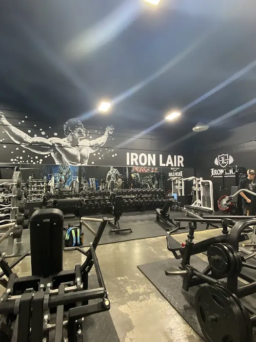 Iron Lair Picture 9