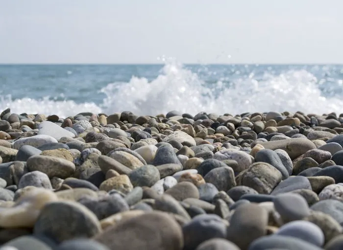 Zen Yoga Center Picture 9