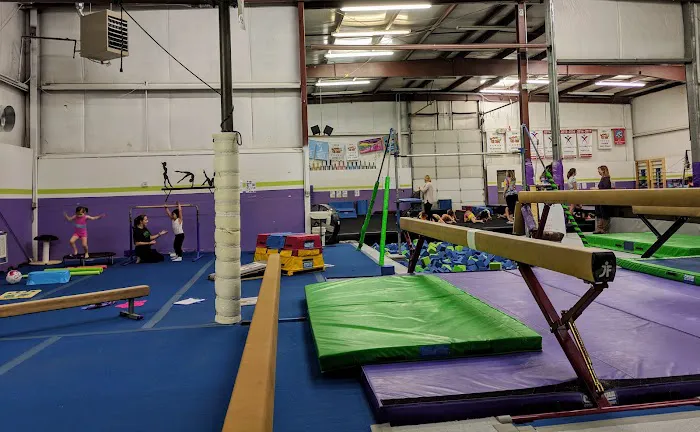 Peak Gymnastics Academy Picture 1