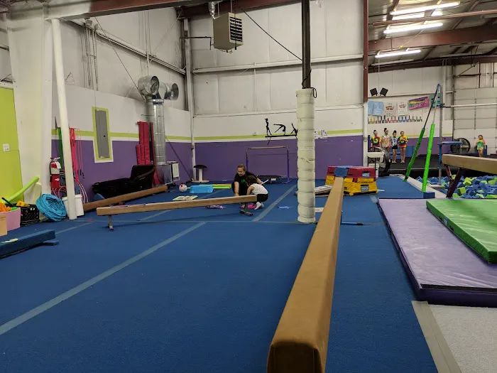 Peak Gymnastics Academy Picture 4