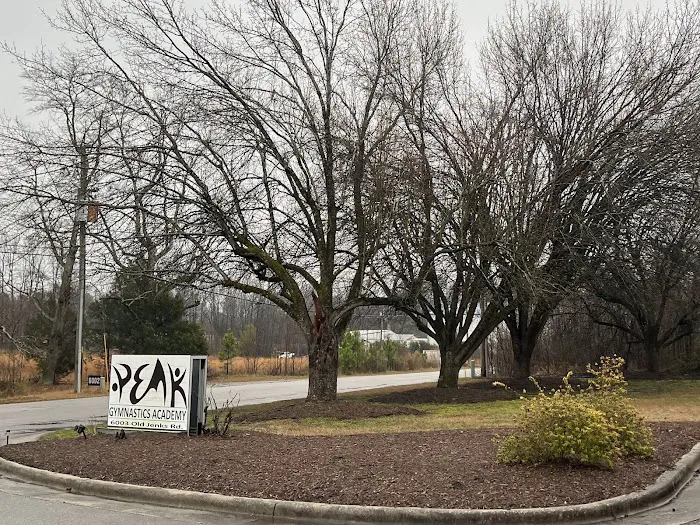 Peak Gymnastics Academy Picture 9