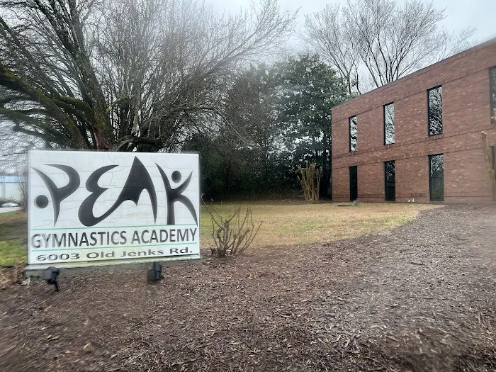 Peak Gymnastics Academy Picture 7