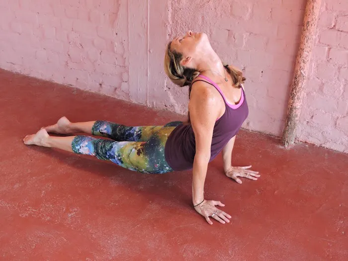 Ashtanga Yoga School of Raleigh Picture 10