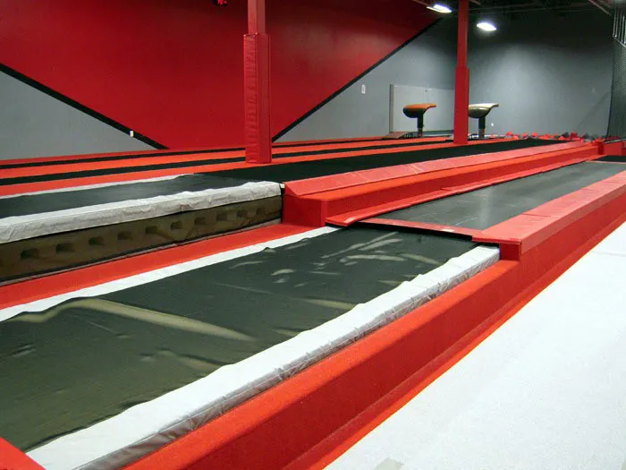 Team Attraction Gymnastics Picture 2