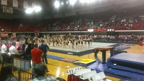 Team Attraction Gymnastics Picture 1