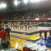 Team Attraction Gymnastics ico